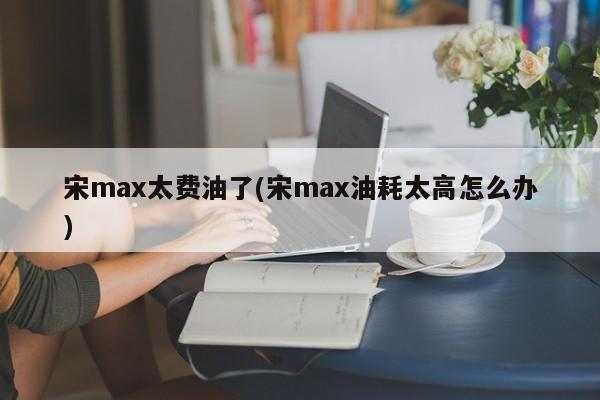 宋max太费油了(宋max油耗太高怎么办)