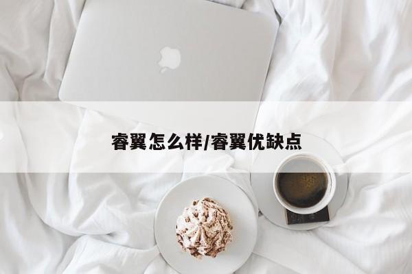 睿翼怎么样/睿翼优缺点