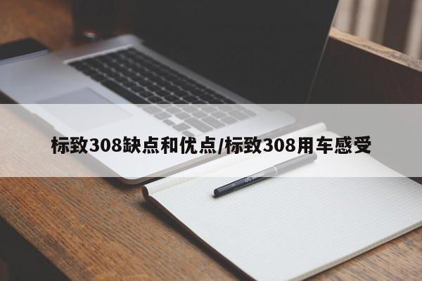 标致308缺点和优点/标致308用车感受