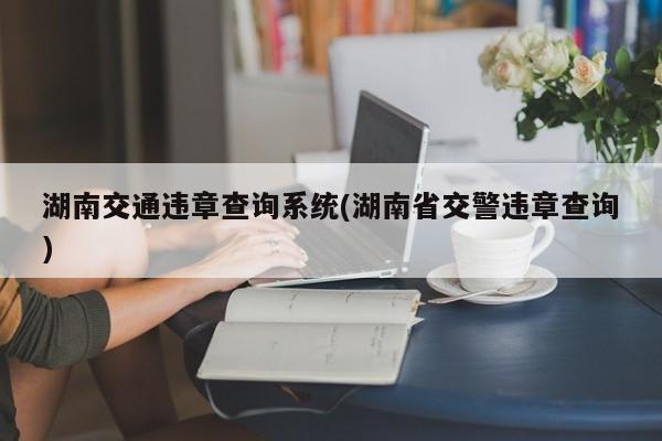 湖南交通违章查询系统(湖南省交警违章查询)