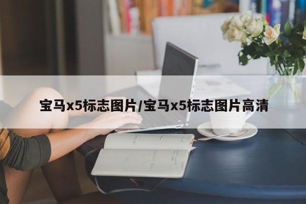 宝马x5标志图片/宝马x5标志图片高清